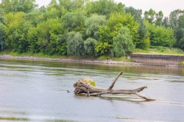 Askeri helikopter sakin nehir sularının üzerinde süzülüyor. Etrafı yoğun yeşil ormanlarla çevrili. Huzurlu bir doğal ortamda.
