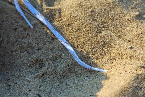 Beyaz ip ya da ip dokulu altın kum yüzeyinde uzanıyordu.