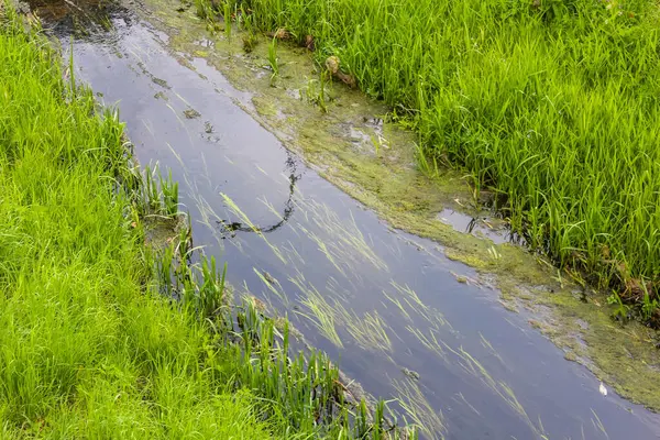 Sarmal asfalt yolu hava perspektifinden canlı yeşil kırsal araziyi kesiyor.