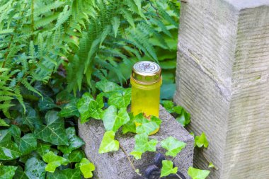 Beton kaldırıma gömülü sarı koruyucu işaret şehir manzarasındaki yemyeşil bitki örtüsüyle çevrili.