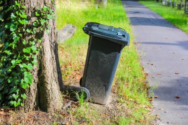 Şehir yolundaki ağaç gövdesinin yanında yeşil sarmaşık arkaplanlı siyah atık kutusu