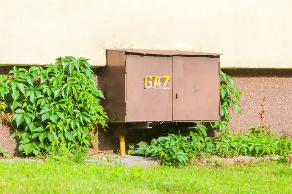 Yeşil çimenli küçük bir ev ve posta kutusunda 107 numaralı ev.