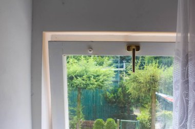 Pencere çerçevesi manzarası, cam camların arasından yeşil bahçe manzarasını gösteriyor. Doğal ışıklandırma ve huzurlu açık hava manzarası.