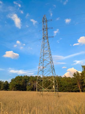 Mavi bulutlu gökyüzüne karşı altın buğday tarlasında belirgin bir şekilde duran uzun elektrik iletim kulesi