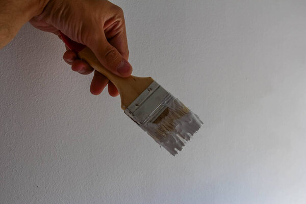 Крупный план рукопожатия кистью с натуральной щетиной, готовящейся к детальным настенным работам