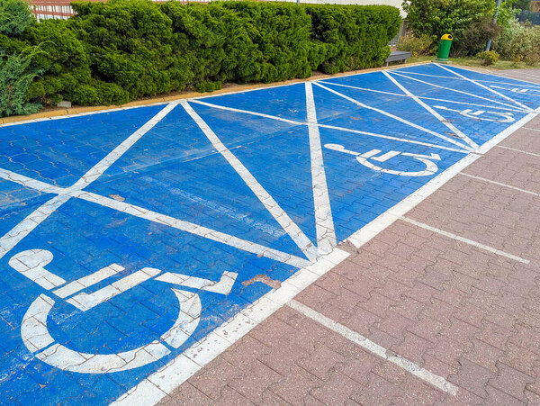 Blue painted disabled parking space with wheelchair symbol clearly marked on asphalt pavement. High quality photograph