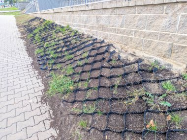 Varşova, Polonya, 20 Eylül 2025. Çevre mühendisliği ve ekolojik yenileme entegrasyonu görüntülerini yamaçta yükselen bitki örtüsüyle yer takviyesi sistemi. Yüksek kalite fotoğraf