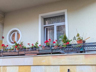Balkon pervazındaki terakotta saksılarında canlı çiçeklerle süslenmiş geleneksel pencereli büyüleyici bir konut cephesi. Yüksek kalite fotoğraf.