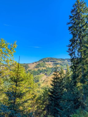 Scenic mountain valley view with forested slopes and distant peaks under clear blue sky in Zakopane Poland region. High quality photograph.