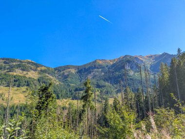 Mountain range with forested slopes and contrail in bright blue sky viewed from Zakopane Poland valley. High quality photograph.