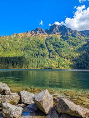 Tranquil turquoise mountain lake with rocky shoreline and forested Tatra peaks under blue sky near Zakopane Poland. High quality photograph