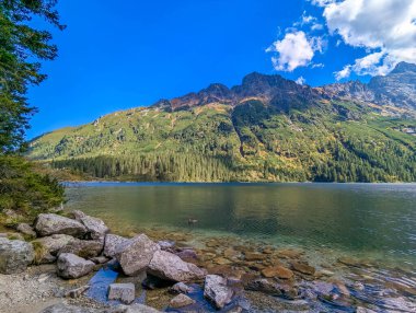 Stunning view of emerald green mountain lake with visible underwater rocks and forested slopes near Zakopane Poland. High quality photograph