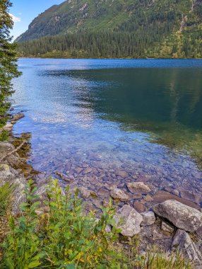 Crystal clear shallow mountain lake with visible rocks and pebbles beneath turquoise water near Zakopane Poland. High quality photograph