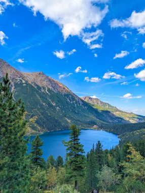 Scenic view of deep blue glacial lake embraced by evergreen forests and rugged Tatra mountain ridges near Zakopane, Poland. High quality photograph