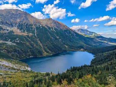 Breathtaking aerial view of deep blue mountain lake surrounded by dense evergreen forests and Tatra peaks near Zakopane, Poland. High quality photograph