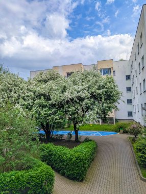 Peaceful residential courtyard with green hedges and walking path between modern apartment buildings on sunny spring day. High quality photograph.