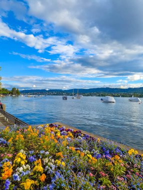 Zürih Gölü kıyısı boyunca mor ve sarı çiçekli canlı yaz çiçekleri, tekneleri ve mavi gökyüzü İsviçre. Yüksek kalite fotoğraf
