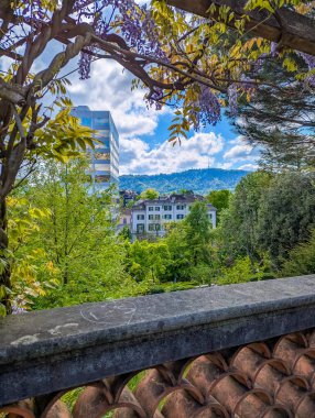 Green urban park with mature trees and waterside view in Zurich, Switzerland on sunny spring day with blue sky. High quality photograph.