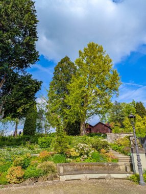 Issız bir ağaç, kırsal ahşap bir yapı ve dağ vadisinden görülebilen Lucerne Gölü ile sakin İsviçre alp manzarası. Yüksek kalite fotoğraf.