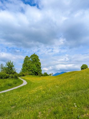 Yumuşak eğimli yeşil İsviçre alp çayırı dramatik bulutlu gökyüzü ve dağ zemininin altında dolambaçlı bir yol. Yüksek kalite fotoğraf.