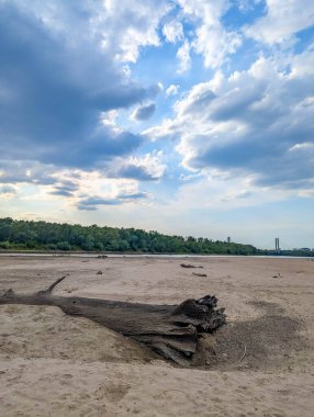 Driftwood log on sandy beach along Vistula River with forest background under dramatic clouds Warsaw Poland riverside. High quality photograph