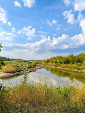Vistula River waterway with sandy shores and green vegetation under blue sky in Warsaw Poland summer riverside view. High quality photograph