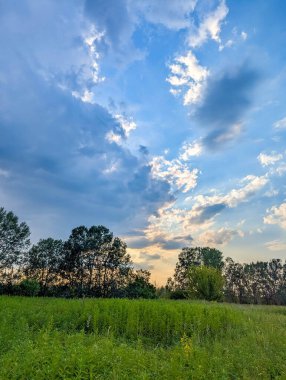 Green field landscape with dramatic rays of sunlight breaking through clouds near Vistula River Warsaw Poland countryside. High quality photograph