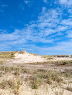 White sand dunes with dry grass patches under dramatic blue sky near Leba Poland Baltic coast. High quality photograph