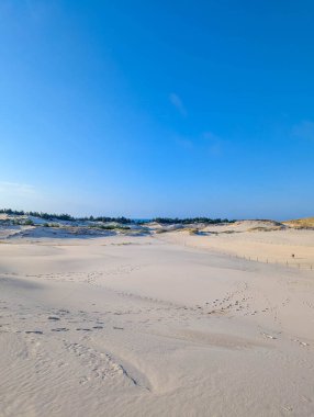 Expansive white sand dunes stretching into distance under blue sky near Leba Poland Baltic coast in summer. High quality photograph