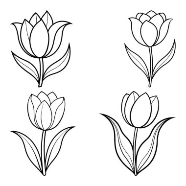 Lale Çiçeği Çizgisi Sanat Biçimi vol-1