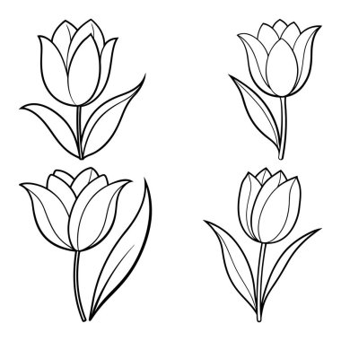 Lale Çiçeği Çizgisi Sanat Biçimi vol-4