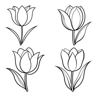 Lale Çiçeği Çizgisi Sanat Biçimi vol-5