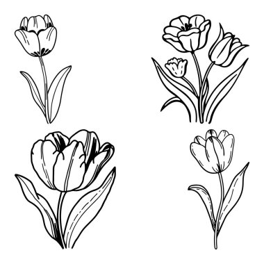 Satır & Doldurma Biçimi vol-2 ile Lale Çiçeği