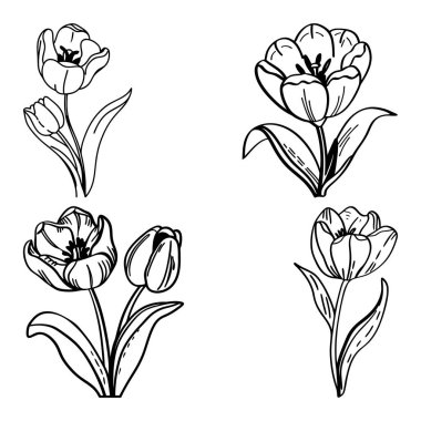 Satır & Doldurma Biçimi vol-4 ile Lale Çiçeği