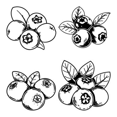 Satır & Doldurma biçimi vol-2 ile yabanmersini