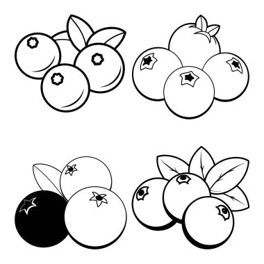 Çizgili Yabanmersini Sanat stili vol-1