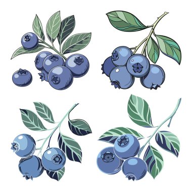 Vektör Sanat tarzlı yabanmersini vol-1