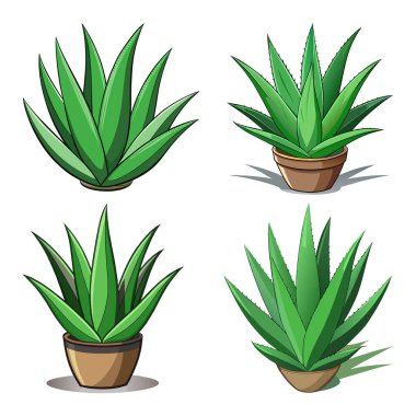  Çizgi film stili vol-5 ile Aloe vera
