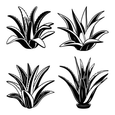 Satır & Doldurma biçimi vol-2 ile Aloe vera