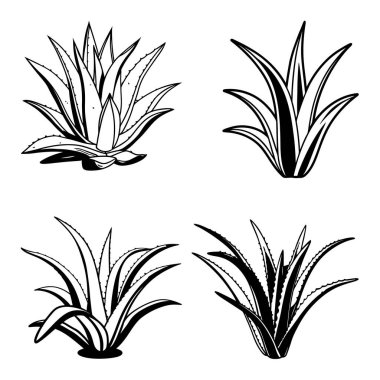 Satır & Doldurma biçimi vol-5 ile Aloe vera