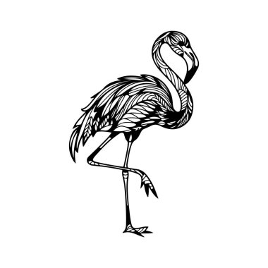 Vektör eli flamingo kuşunu çekti. Siyah ve Beyaz Vektör illüstrasyonu.