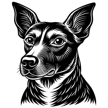 Ayrıntılı Siyah-Beyaz Köpek Resimleri