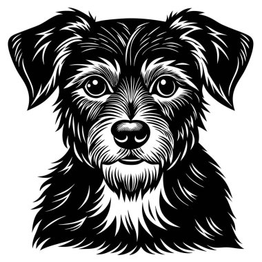 Ayrıntılı Siyah-Beyaz Köpek Resimleri