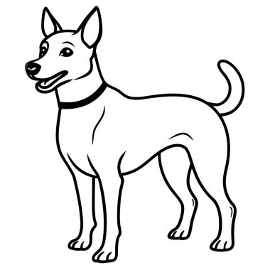 Ayrıntılı Siyah-Beyaz Köpek Resimleri