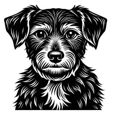 Ayrıntılı Siyah-Beyaz Köpek Resimleri