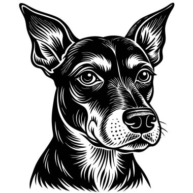Ayrıntılı Siyah-Beyaz Köpek Resimleri