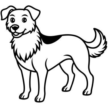 Ayrıntılı Siyah-Beyaz Köpek Resimleri