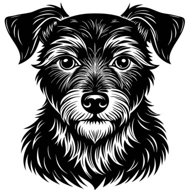 Ayrıntılı Siyah-Beyaz Köpek Resimleri