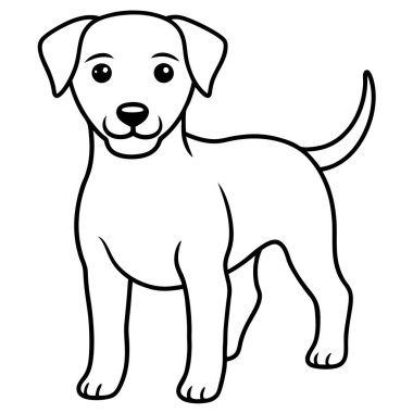 Ayrıntılı Siyah-Beyaz Köpek Resimleri