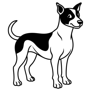 Ayrıntılı Siyah-Beyaz Köpek Resimleri